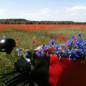 Handwerker Fahrrad Potsdam